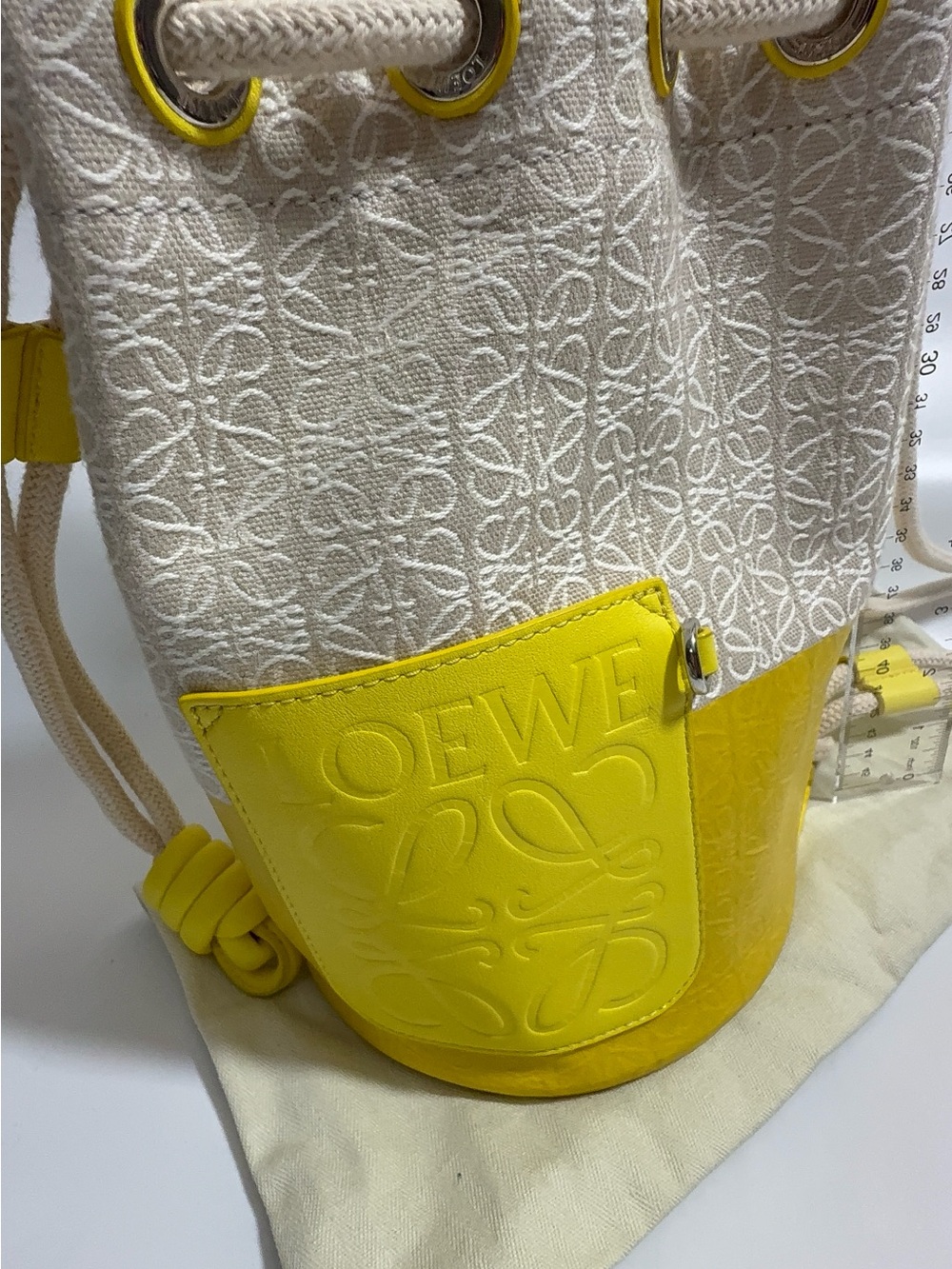 Loewe Paula’s Ibiza Sailor Bucket Bag